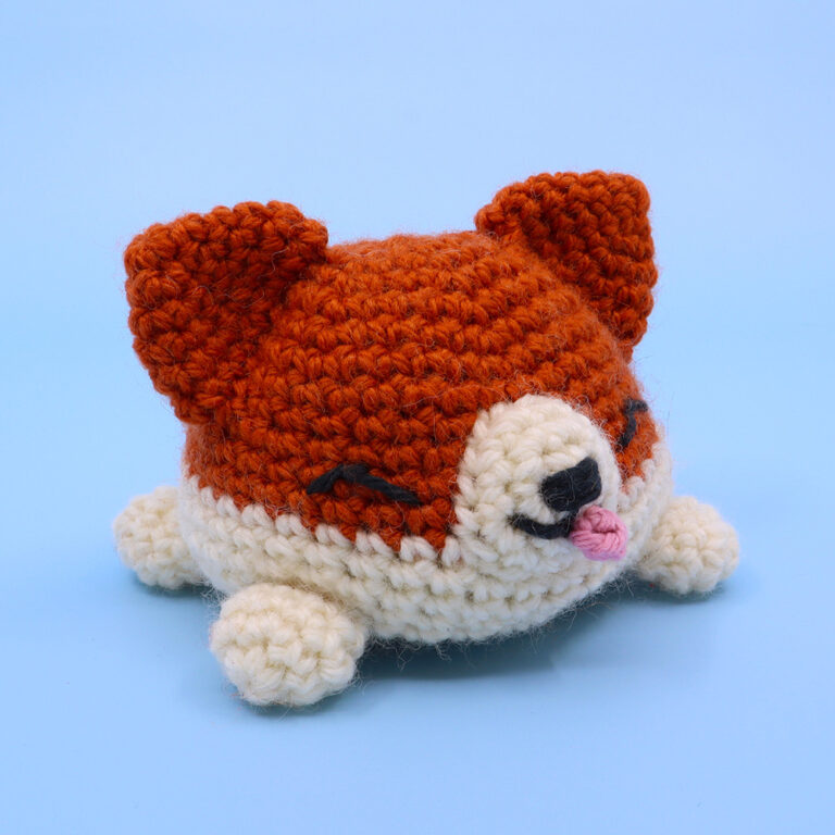 05_ReversibleCorgi_happy_square