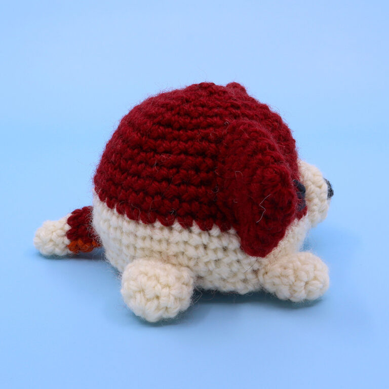 17_ReversibleCorgi_grumpy_square