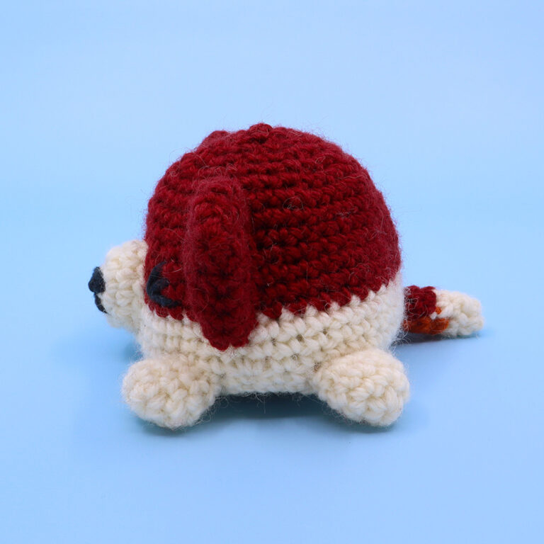 21_ReversibleCorgi_grumpy_square