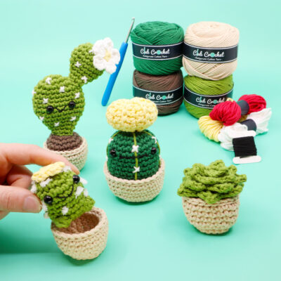 Cactus and Succulent Crochet Kit