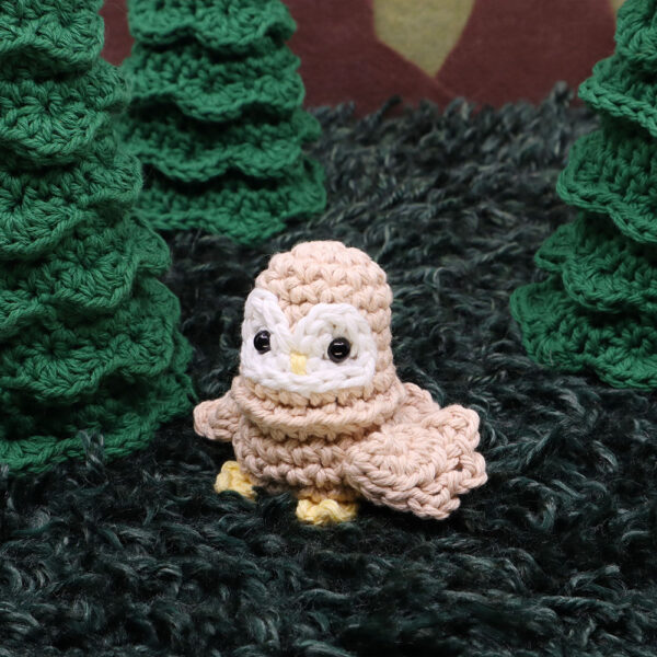 01_BarnOwlTest1