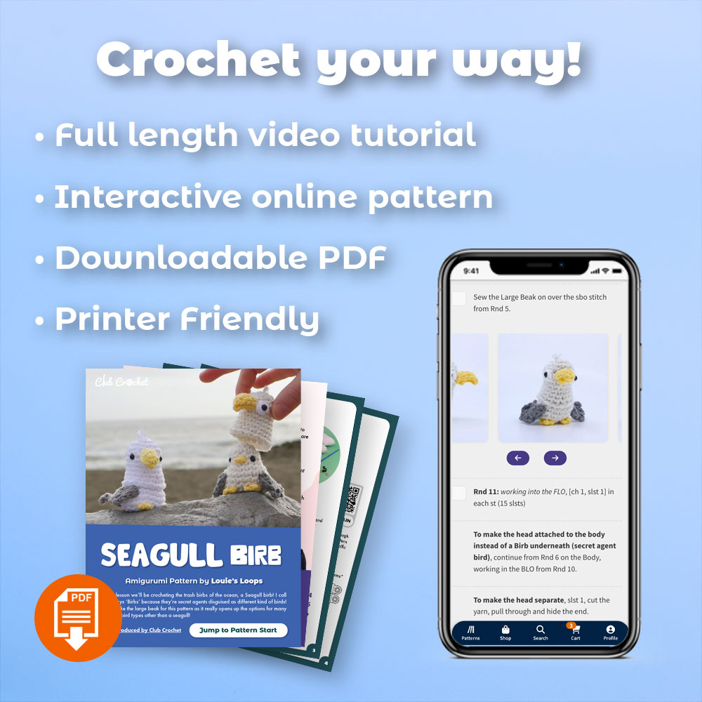 06_SandigurumiKit_crochetyourway