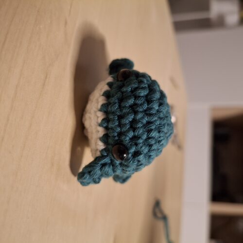 Beginner Blue Whale