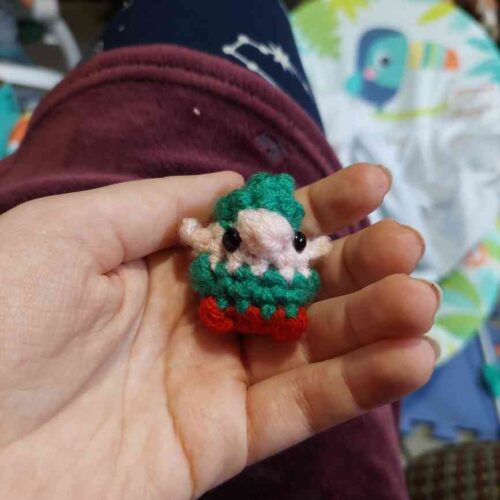 The gnome who was an elf