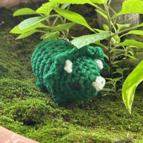 Triceratops