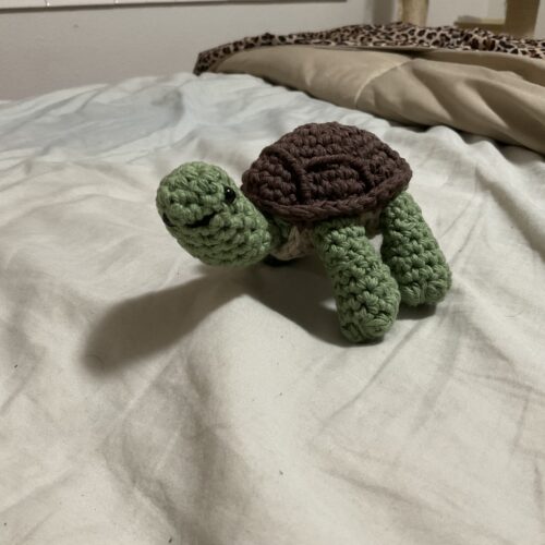 Tuck the Tortoise