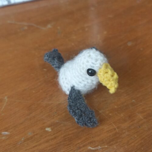Seagull
