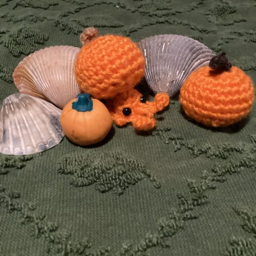 Hermi the hermit crab