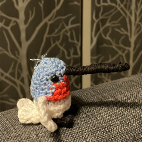 Sunshine the Humming birb