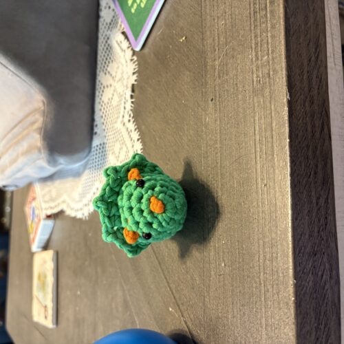 Triceratops