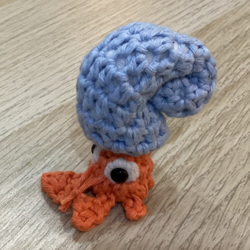 Hermit Crab