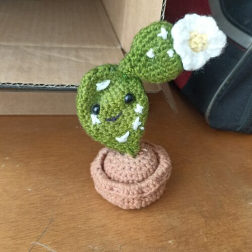 Cactus