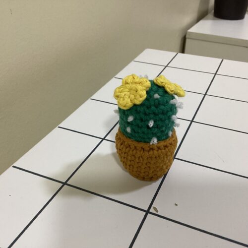 Betty the Cactus ?