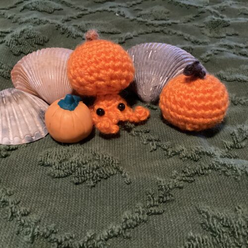 Hermi the Hermit Crab